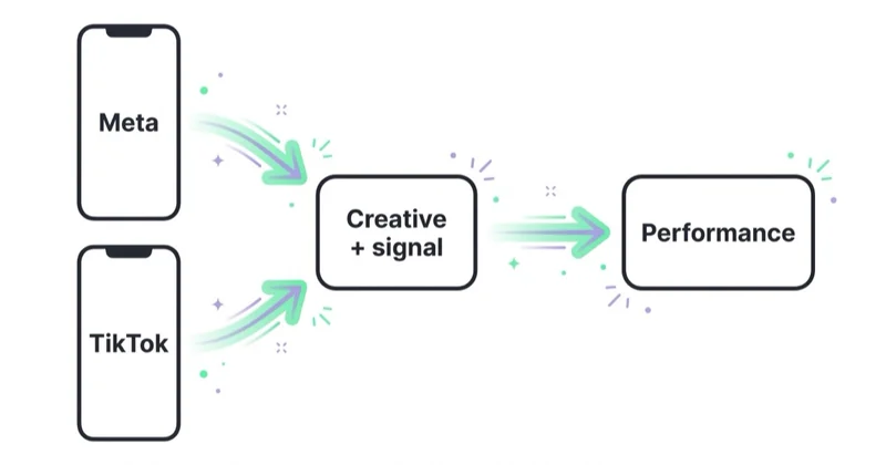 Meta and TikTok feeding one creative-and-signal layer that drives paid social performance.