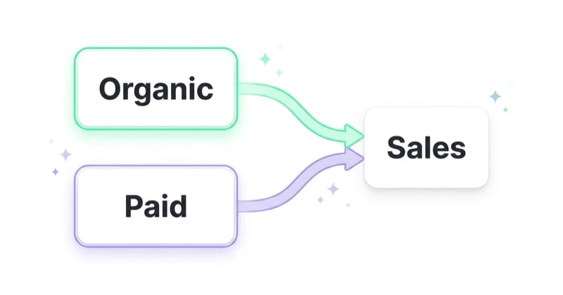 Organic and paid social driving sales
